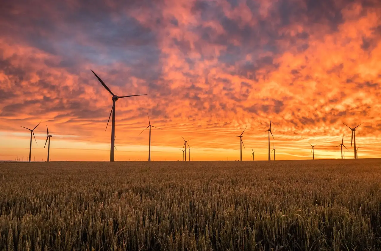 Yin Nation: Entdecke die Welt der weiblichen Energie