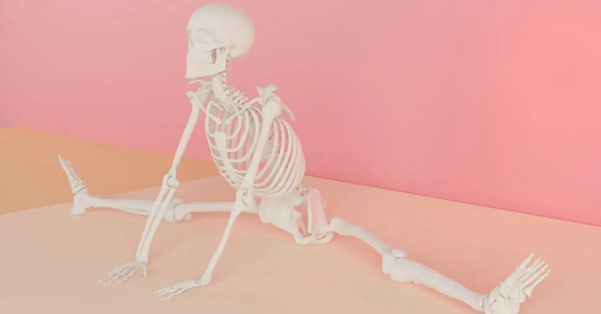 Yoga Anatomie: Grundlagen und Übungen für die Praxis