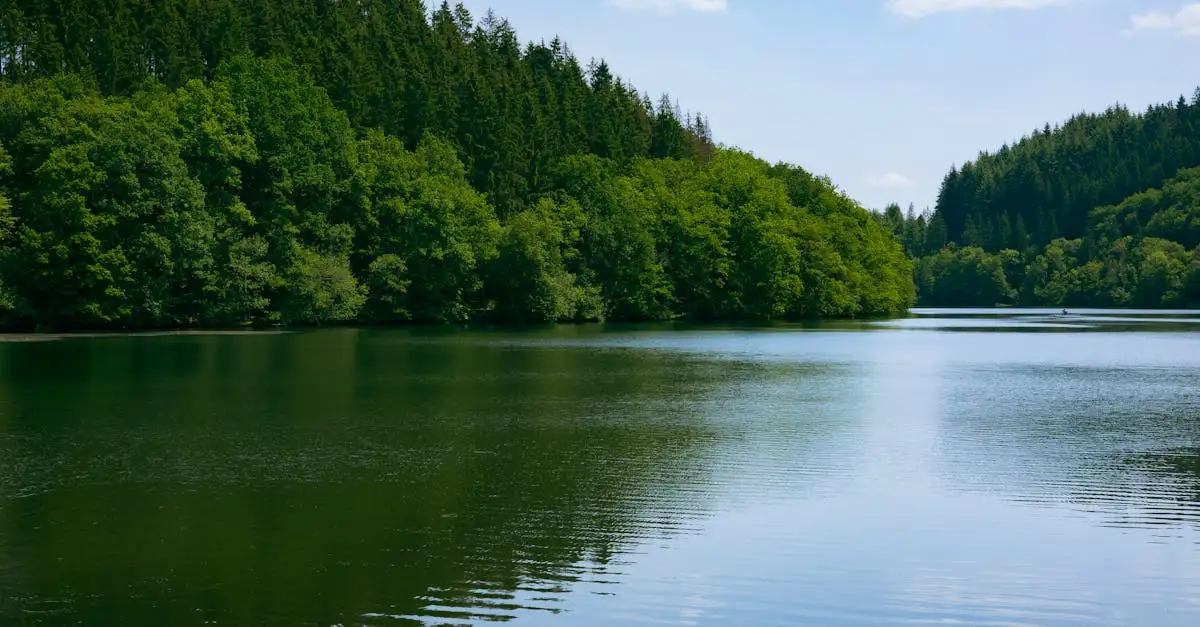 Yoga Wochenende Eifel: Entspannung und Erholung pur